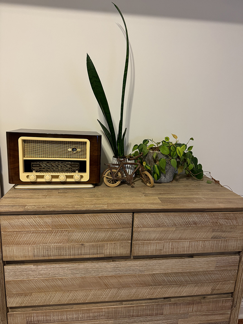 TZC-display-0066.jpg